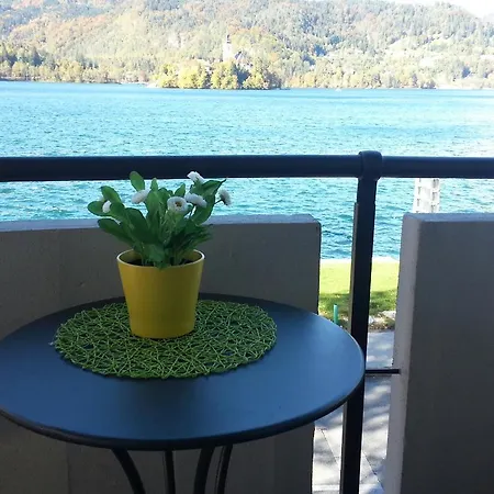 Apartma Panorama