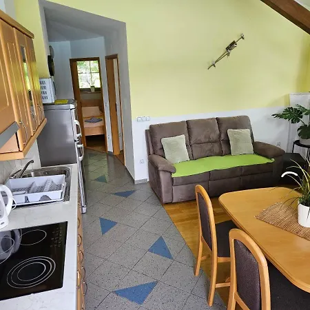Apartma Panorama 公寓 布莱德